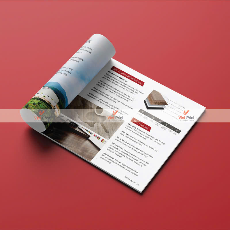 Catalogue In Ấn: Tạo Ra Những Ấn Tượng Lâu Dài Với Khách Hàng