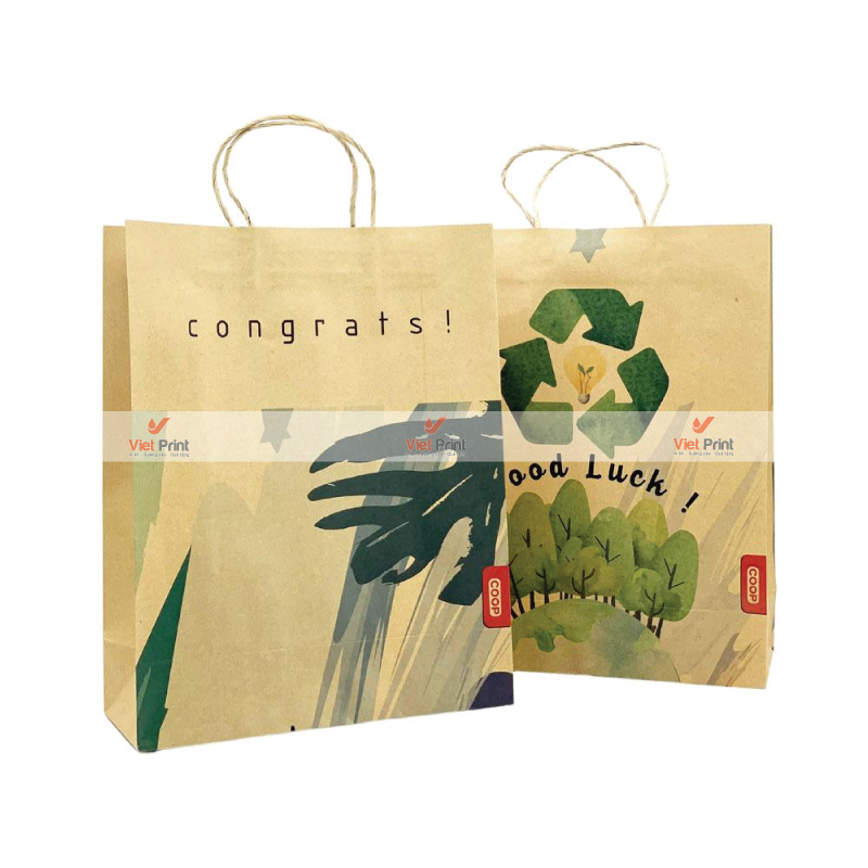 Mẫu Túi Giấy